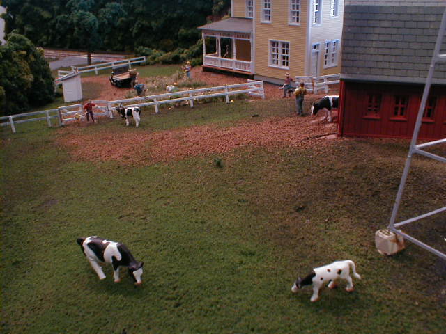 dairy cows on farm scale model